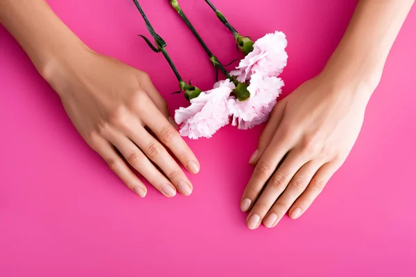 Top View Female Hands Shiny Fingernails Carnation Flowers Pink Background — Stock Photo, Image