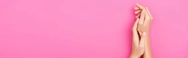 Top View Groomed Female Hands Pastel Manicure Pink Background Banner — Stock Photo, Image