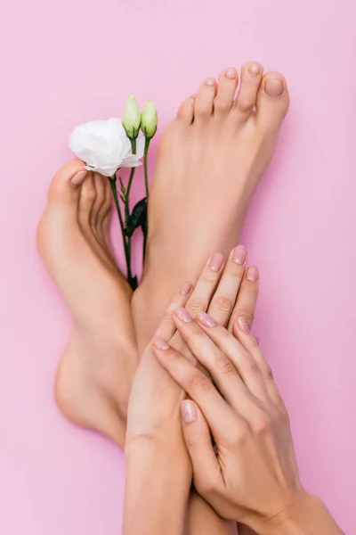 Vue Dessus Des Pieds Des Mains Des Femmes Avec Émail — Photo