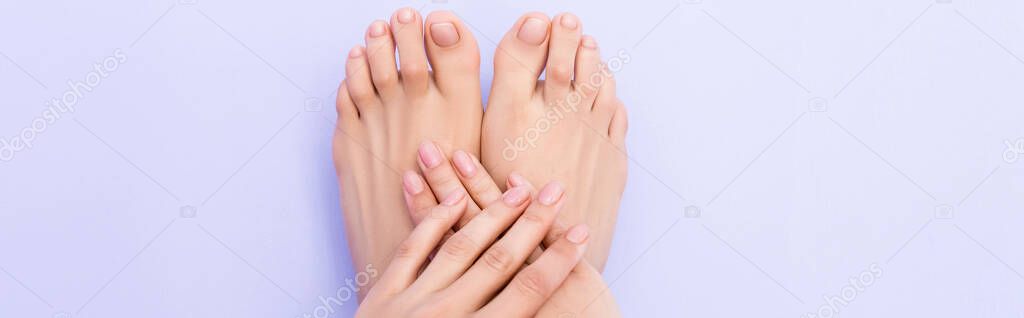 top view of groomed female feet and hands with glossy nails on pastel purple background, banner