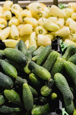 Süpermarkette arka planda, biberlerin yanında taze salatalıklar. 