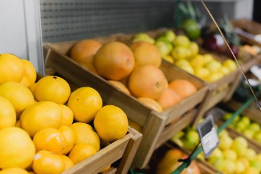 Süpermarkette arka planda bulanık meyvelerin yanında taze portakallar 