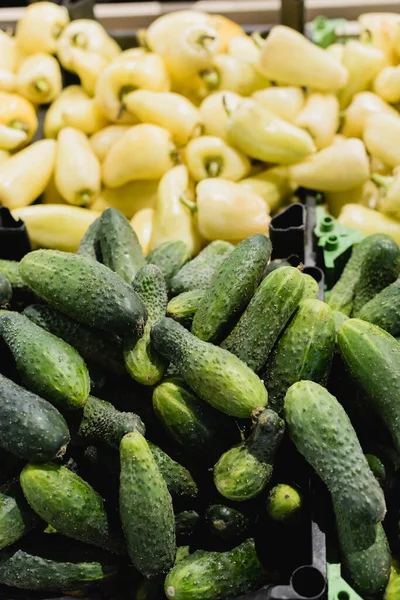 Pepinos Frescos Perto Pimentas Fundo Desfocado Supermercado — Fotografia de Stock