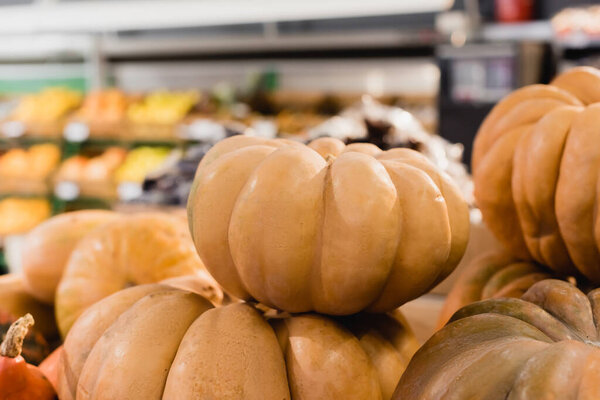 Close up view of organic squashes in supermarket 