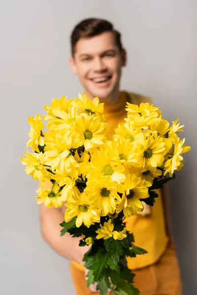Žluté Chryzantémy Ruce Veselého Muže Rozmazané Šedém Pozadí — Stock fotografie