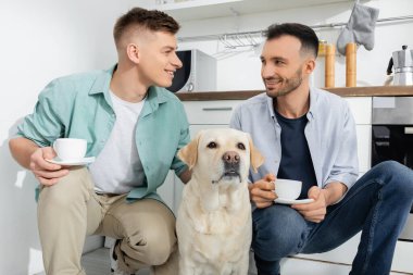 Mutlu homoseksüel erkekler birbirlerine bakar ve köpeklerin yanında bardak tutarlar.