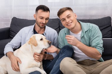 Homoseksüel bir adam kameraya bakıyor. Kocasının yanında, oturma odasında Labrador 'a sarılıyor.