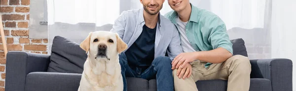 同性伴侣坐在靠近狗的沙发上 横幅上的剪影 — 图库照片