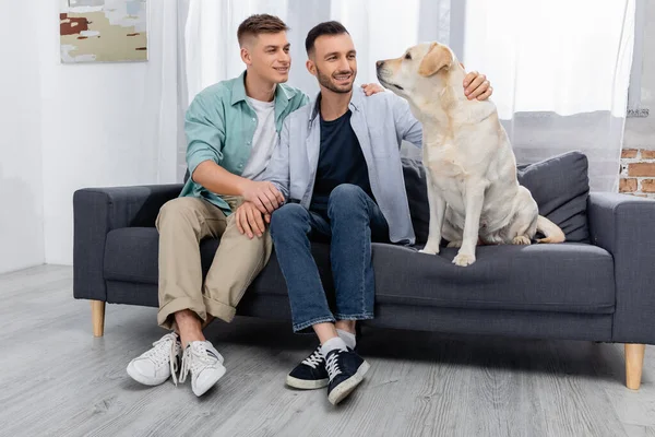 Alegre Pareja Del Mismo Sexo Sonriendo Mirando Labrador Salón —  Fotos de Stock