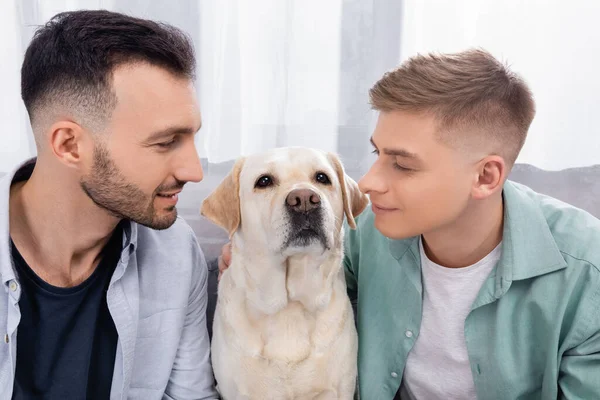 Couple Homosexuel Regardant Labrador Dans Salon — Photo