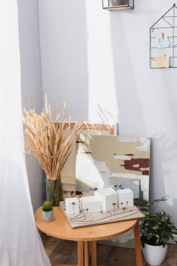 Dikenli maketlerin yanındaki masada mimari maket ve ev stüdyosundaki tablolar.