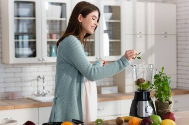 Genç hamile kadın smoothie hazırlarken blender 'a nane yaprağı ekliyor.
