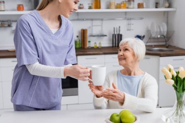 Genç sosyal hizmet görevlisi mutfaktaki mutlu yaşlı kadına çay veriyor.