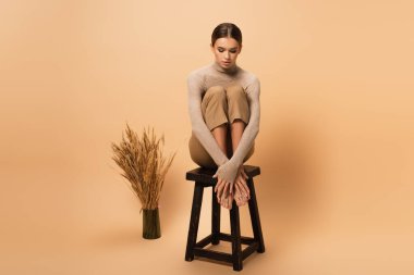 young barefoot woman in turtleneck and pants sitting on wooden stool near vase with spikelets on beige  clipart