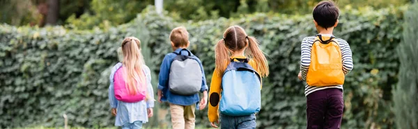 Back view of pupils with backpacks walking near friends on blurred background outdoors, banner — Stock Photo
