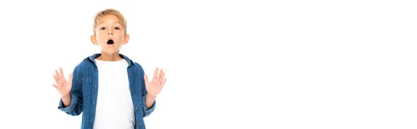 Excited kid looking at camera isolated on white, banner — Stock Photo