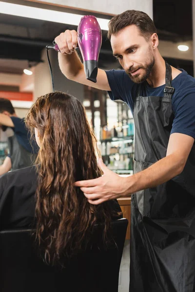 Молодой парикмахер в фартуке сушит волосы женщины — стоковое фото