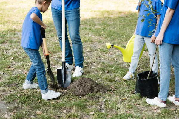 Cropped view of mother and daughter holding young tree and watering can while father and son digging ground, ecology concept — Stock Photo