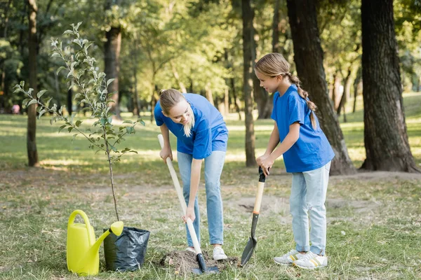 Madre e figlia scavare terreno con pale vicino annaffiatoio e piantina, concetto di ecologia — Foto stock