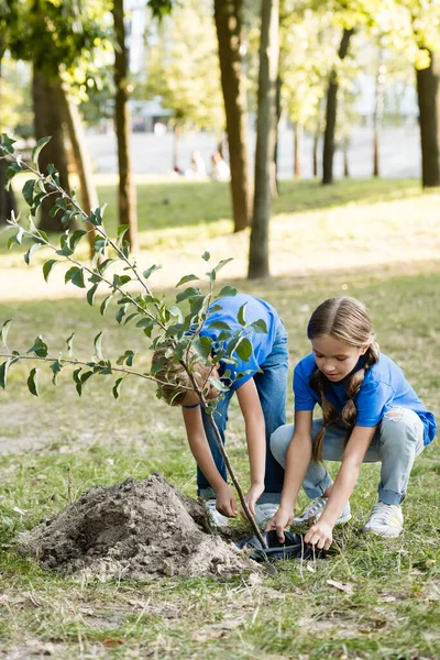 Mãe e filha plantando árvore jovem na floresta, conceito de ecologia — Fotografia de Stock