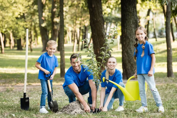 Familia sonriente de activistas plantando plántulas jóvenes en el bosque, concepto de ecología - foto de stock