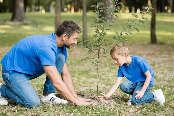 Вид сбоку на отца и сына, посадивших молодое дерево в парке, концепция экологии — стоковое фото