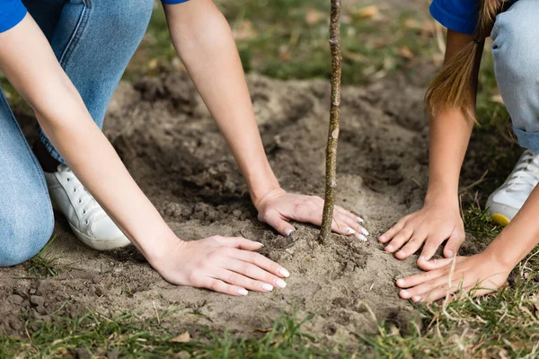 Vista ritagliata di madre e figlia piantare giovane albero nella foresta, concetto di ecologia — Foto stock