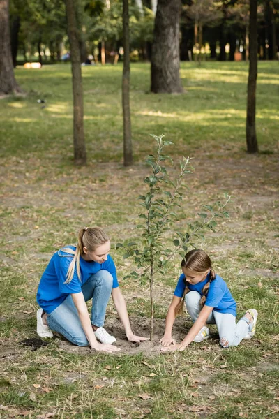 Tochter mit Mutter pflanzt jungen Baum im Park, ökologisches Konzept — Stockfoto