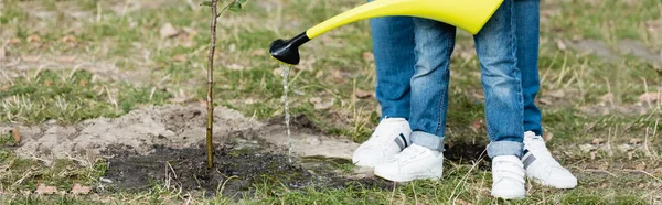 Vista ritagliata di madre e figlia irrigazione giovane albero, concetto di ecologia, banner — Foto stock