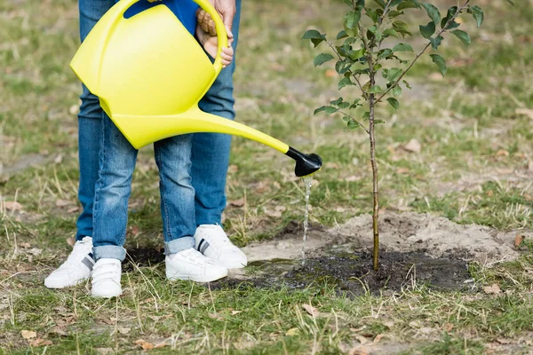 Teilansicht eines Jungen mit Vater, der junge Sämlinge im Wald gießt, Ökologiekonzept — Stockfoto