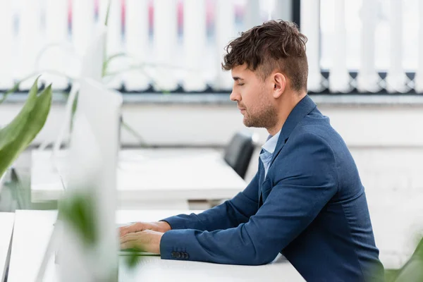 Trabalho executivo, enquanto sentado à mesa no escritório com planta turva em primeiro plano — Fotografia de Stock