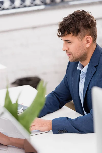 Mecanografía ejecutiva positiva en el teclado de la computadora, mientras está sentado en el lugar de trabajo con la planta borrosa en primer plano - foto de stock