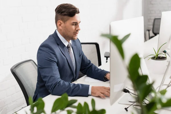 Cadre sérieux utilisant l'ordinateur, alors qu'il était assis à table au bureau avec une plante floue au premier plan — Photo de stock