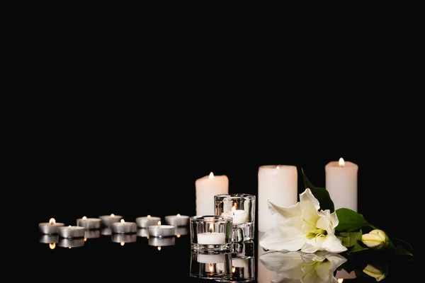 Lírio, velas no fundo preto, conceito funeral — Fotografia de Stock