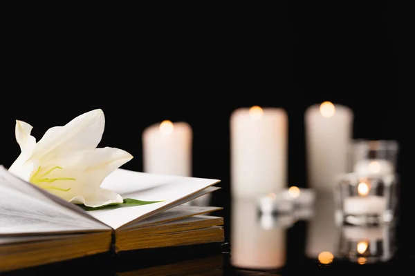 Lily on holy bible on blurred background, funeral concept — Stock Photo