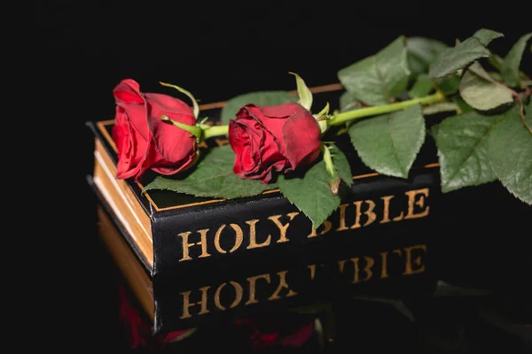 Red roses on holy bible on black background, funeral concept — Stock Photo