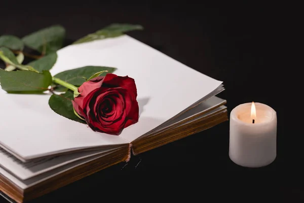 Red rose on holy bible near candle on black background, funeral concept — Stock Photo