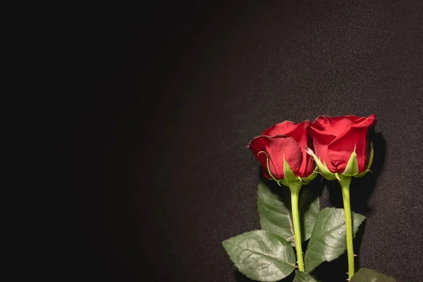 Deux roses rouges sur fond noir, concept funéraire — Photo de stock