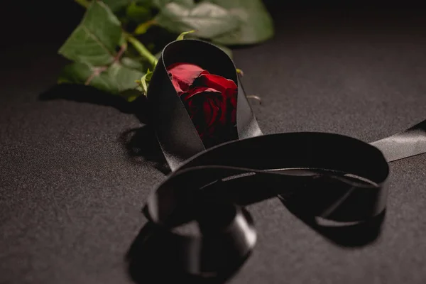 Red rose and ribbon on black background, funeral concept — Stock Photo