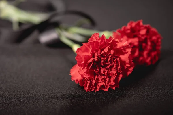 Due fiori di garofano rosso con nastro su sfondo nero, concetto funerario — Foto stock