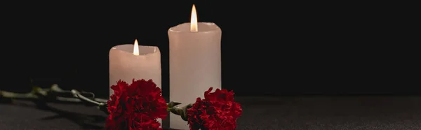 Red carnation flowers and candles on black background, funeral concept, banner — Stock Photo