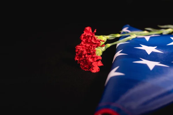 Red carnation american flag on black background, funeral concept — Stock Photo