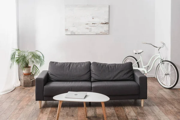 Ordinateur portable sur la table basse près du canapé gris et plante dans un appartement moderne — Photo de stock