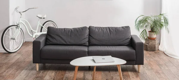 Ordinateur portable sur la table basse près du canapé gris et plante dans un appartement moderne, bannière — Photo de stock