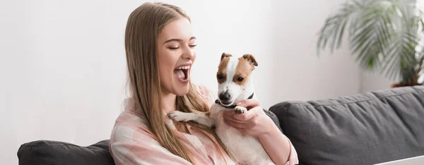 Animado mulher segurando em braços jack russell terrier, banner — Fotografia de Stock