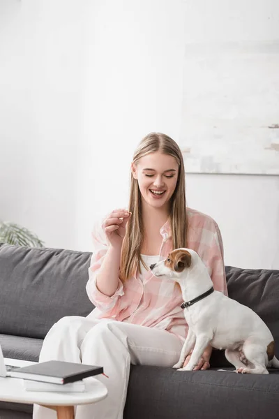 Donna allegra alimentazione jack russell terrier con cibo per animali domestici in soggiorno — Foto stock