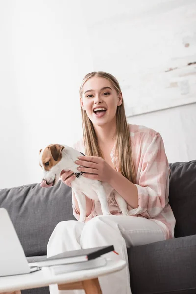 Young cheerful woman cuddling jack russell terrier at home — Stock Photo