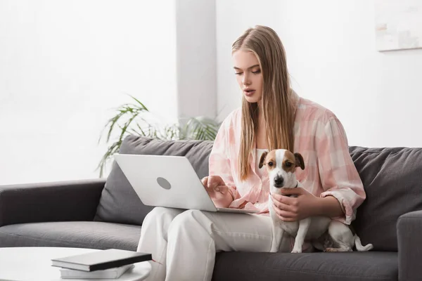 Jovem mulher sentada no sofá com jack russell terrier e usando laptop — Fotografia de Stock