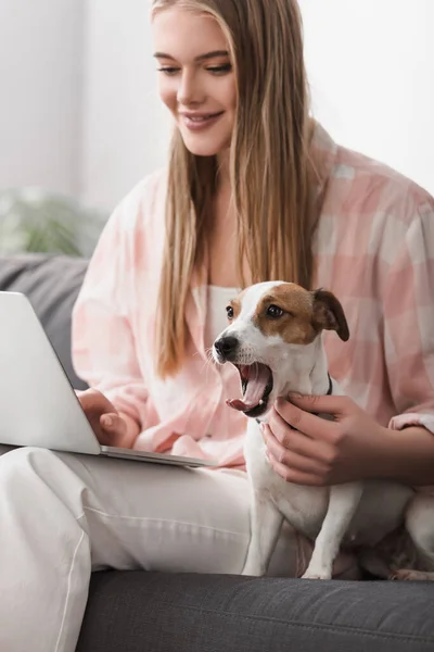 Cheerful young woman sitting on couch with jack russell terrier and using laptop — Stock Photo