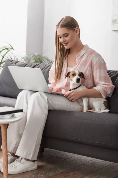 Щаслива молода жінка сидить на дивані з джек-тер'єром і використовує ноутбук — стокове фото